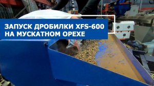 Запуск дробилки для пластика XFS-600 на мускатном орехе