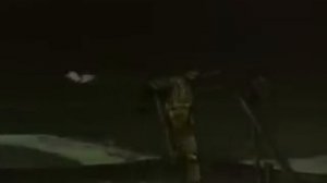 История одного города. Органчик.flv