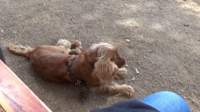 LLoret de mar Великолепные виды моря смотреть онлайн