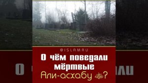 О чём поведали мёртвые Али-асхабу?