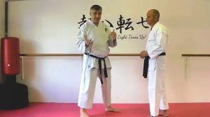 Saifa Bunkai Strategies 2017 week 34 koryu karate oyo jutsu