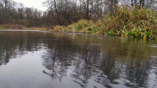 Сплав по реке Анграпа