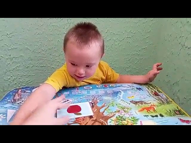 «Начинаем говорить» с Максимом. Называние предметных картинок (Этап I, 4 ступень)
