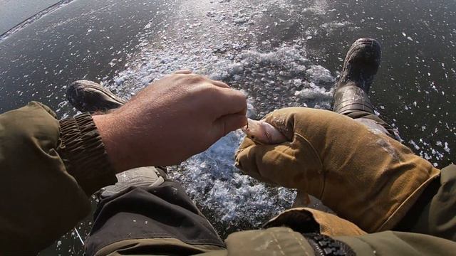 ЛОВИМ ОКУНЯ В МОРОЗ!НЕ УСПЕВАЮ ОТПУСТИТЬ БЛЕСНУ, СРАЗУ КЛЮЕТ#окуньзимой#первыйлед