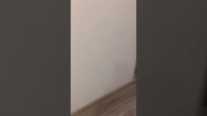 Двухуровневая студия 23 кв.м. + 8 кв.м. Р-н Перово, Москва.