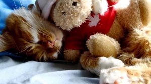 «Ночка-колыбельная сыночку» сл.Андрона Распутина, муз. Татьяны Романовой, исп.Анастасия Михайлова