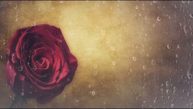 Beethoven -Für Elise -piano and violin -cover смотреть онлайн