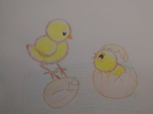 Как нарисовать цыплят