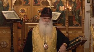 Первосвятительское слово перед Таинством Исповеди  30_01_22.