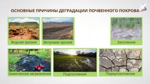 Почвенные ресурсы. Охрана и использование недр. Проблема опустынивания и её решение в России