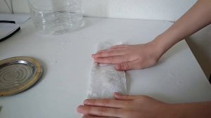 Как посадить манго