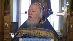 Проповедь о жизни против течения. Димитрий Смирнов