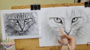 Как Нарисовать Кота Простым Карандашом - Уроки Рисования