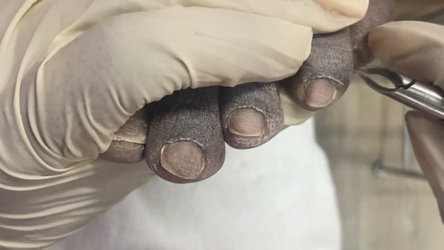 Gel Pedicure Tutorial - Electric File Pedicure смотреть онлайн