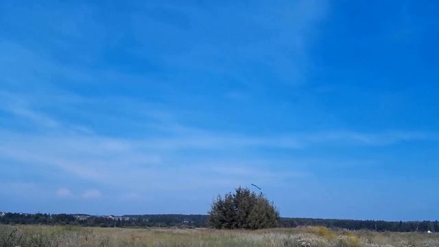 ЛК-850 / Универсальность во многом / ALNADO смотреть онлайн