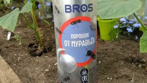 Чем подкормить томаты, перцы и огурчики для получения обильного урожая. Спасаемся от муравьёв!
