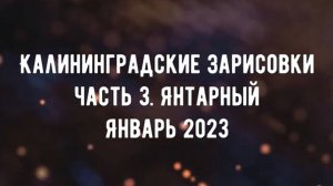 Янтарный Калининградская область январь 2023