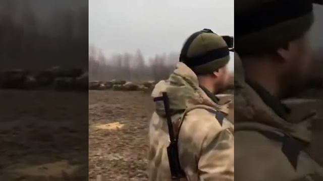 гон кабанов Wild boars