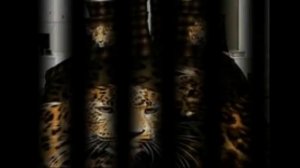 Постельное белье Постельное белье полиэстер