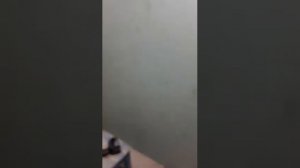 Выравнивание стен гипсокартоном. Крепление ГКЛ на стену без монтажа каркаса.