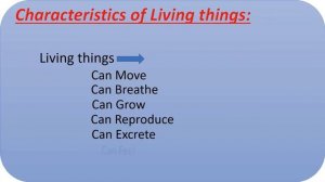 Living And Non Living Things