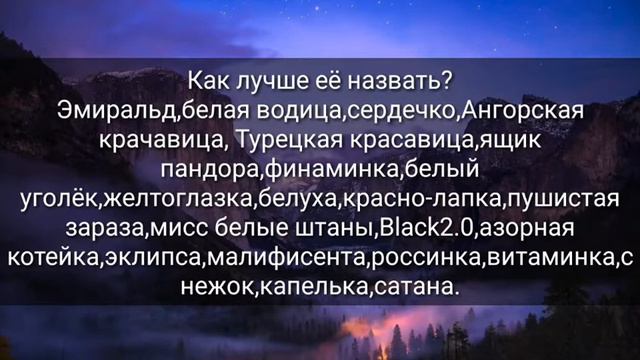Как назвать котёнка!? смотреть онлайн