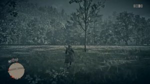 RDR2 Online Поиски растения "Гаультерия"