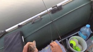 БЕЛОЯРСКИЕ СУДАКИ В ЖАРУ///ТРОЛЛИНГ///