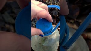 ЧЕРЕНКИ РОЗ ЗИМОЙ. ПРОВЕРЯЕМ, КАК ЗИМУЮТ ПОД ПЛАСТИКОВЫМИ БАНКАМИ.