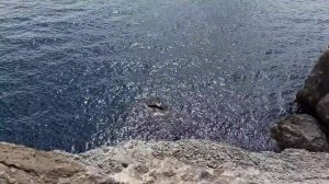 Новый Свет. Синяя бухта. ( Разбойничья).