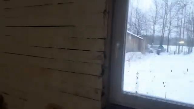 Сегодня на дзене. Ошибки при утеплением дома опилками, показываю. смотреть онлайн