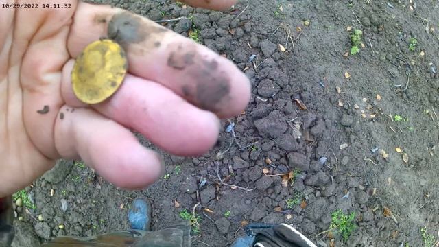 КОПАЮ НА КРАЮ СТАРОЙ ДЕРЕВНИ! НАХОДКИ РАДУЮТ, ДАЖЕ СЕРЕБРО ПОПАДАЕТСЯ! смотреть онлайн