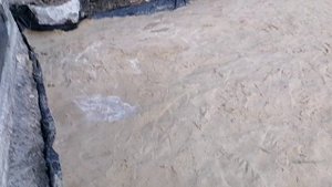 Десять тонн песка ушло на тридцать квадратов. под основание брусчатки.
