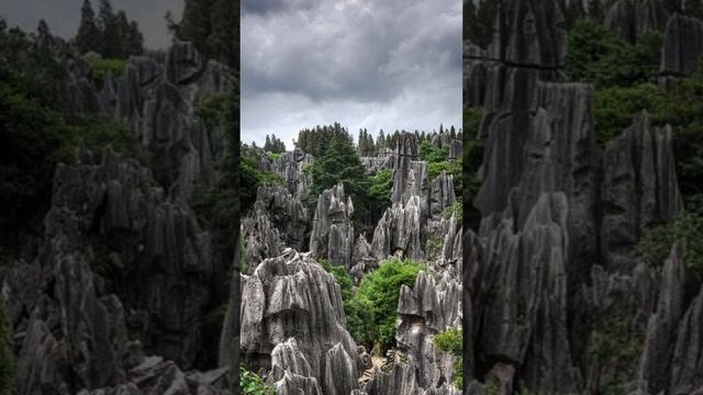 ? Вокруг света: Каменный лес. Китай смотреть онлайн