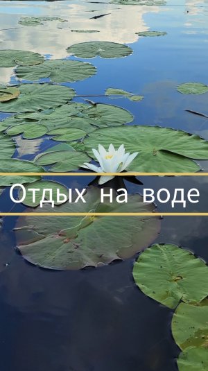 Отдых на воде. Выходные