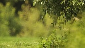 МТО-1000А 1100мм