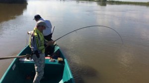 Рыбалка в Астрахани. Ловля сома. Пиявка  перловица донка джиг