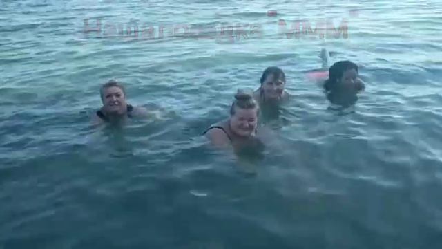 Поездка семинаристов из леса " Мыса Миллениума" на море.