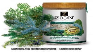 Удобрения для хвойных или чем подкормить вечнозеленые растения?