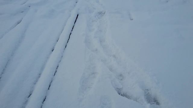 Ловля краба на удочку-Catched crab on the bait. смотреть онлайн