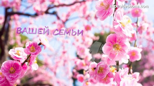 Открытка на ситцевую свадьбу - первую годовщину свадьбы. Видеопоздравление на свадьбу.