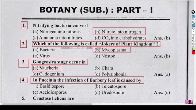 In Puccinia the infection of Barbery leaf is caused by