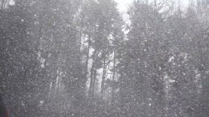 Звуки природы для сна | Расслабляющая метель для сна и хруст снега для скорейшего расслабления.