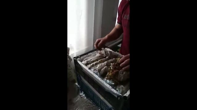 Распаковка посылки! Город Киселёвск, Кемеровская область! смотреть онлайн