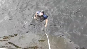 Поисковый магнит в Санкт Петербурге Нева