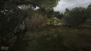 ОП-2.1.  Раритетное оружие.  Проход в Долину