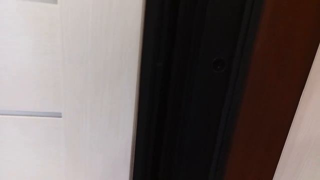 Стальная дверь «ДУЭТ с зеркалом» смотреть онлайн