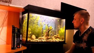 Как запускал 1-й аквариум - опыт новичка.