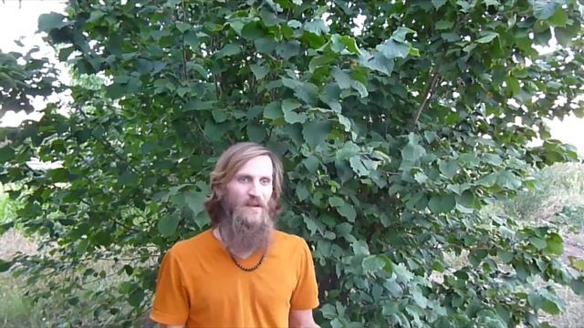 Как избавиться от страха навсегда. Ритуал НОЧЬ СТРАХА