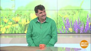 Владимир Вишневский. Доброе утро. Фрагмент выпуска от 20.08.2019